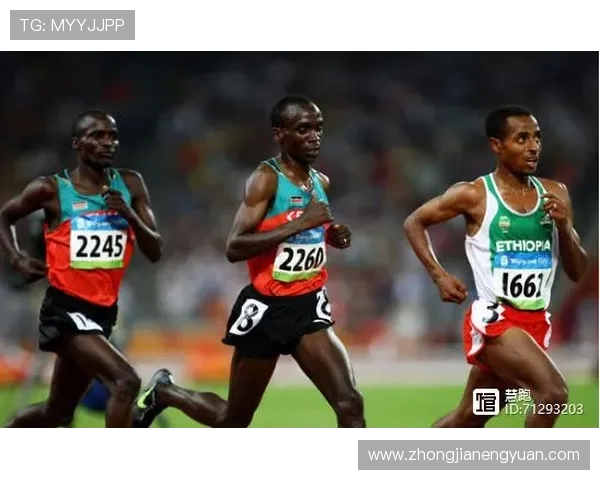 上海羽毛球队耐力提升之路探讨与热议