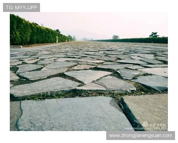 与吴娜畅聊网球生涯的点滴与挑战，探寻她的成长与梦想