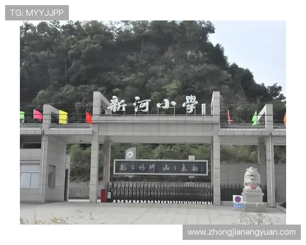 乒乓球传奇刘娜的成长之路与职业生涯回顾