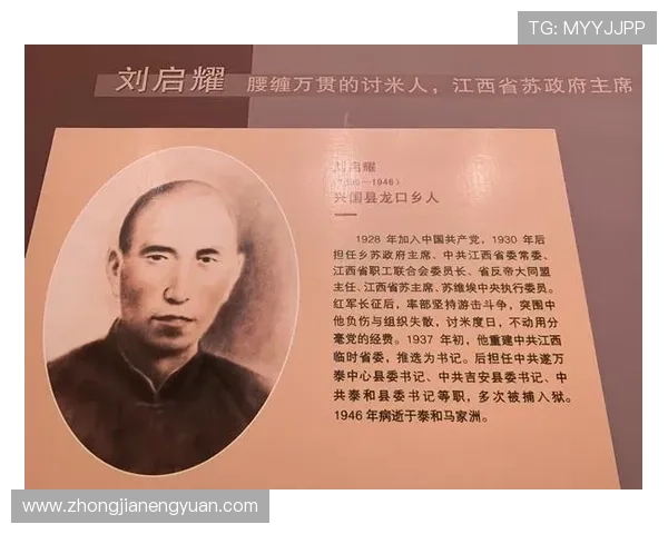 乒乓球的舞台与人生的交响：周芳的成长与奋斗故事