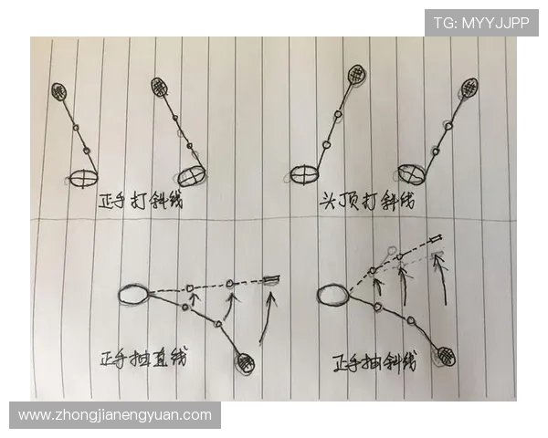 从零基础到羽毛球高手的全面提升指南与实用技巧分享