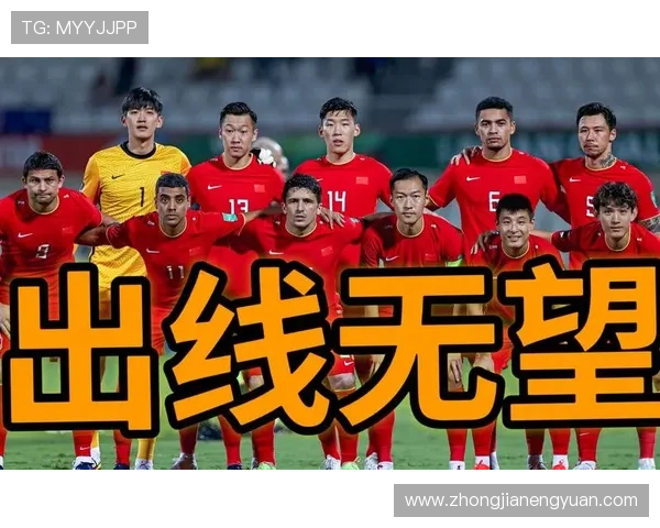 武汉羽毛球队在世界杯背景下的转型与崛起之路探秘