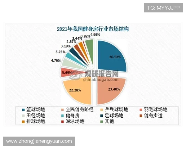 杭州羽毛球队心理素质深度对比分析及其对比赛表现的影响探讨